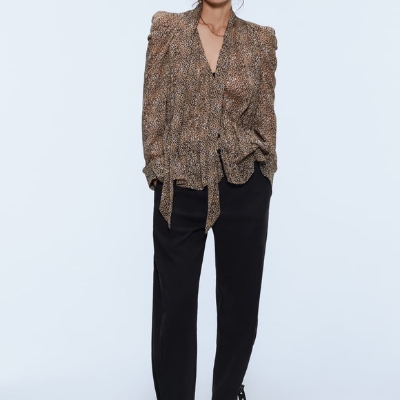 Zara leopard sheer blouse. Xs - Picture 2 of 9